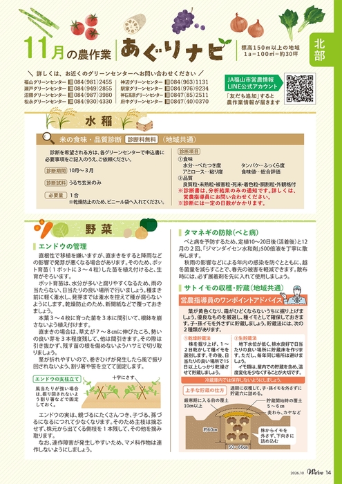 北部（11月の農作業）